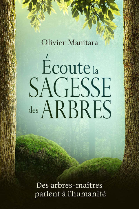 Ecoute la sagesse des arbres