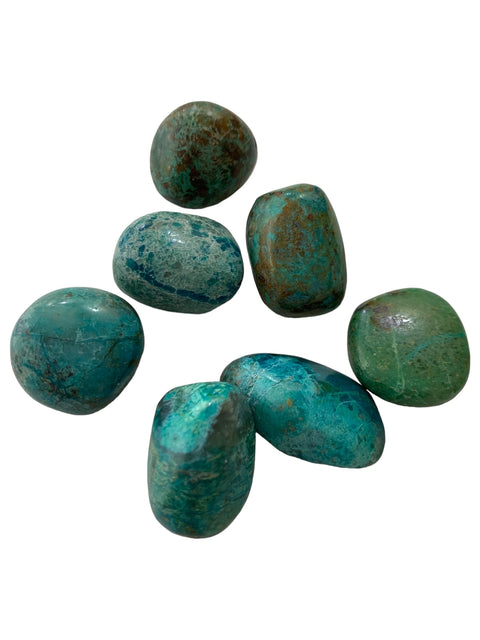 Chrysocolle pierres polies